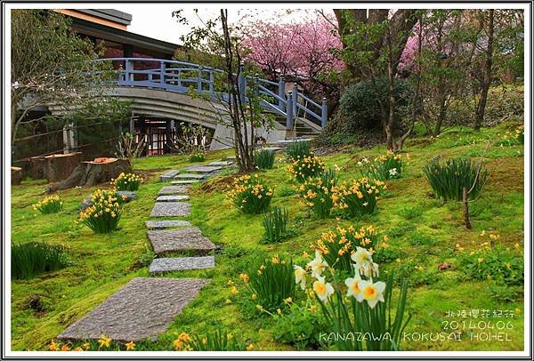 2014北陸櫻花紀行篇D2043