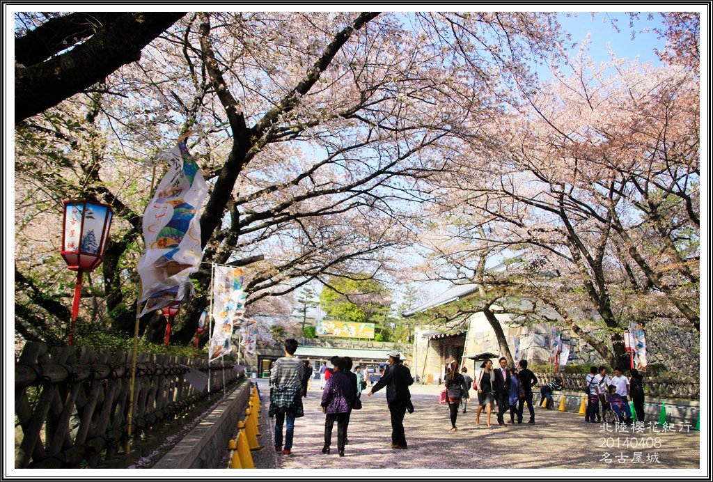 2014北陸櫻花紀行D4046