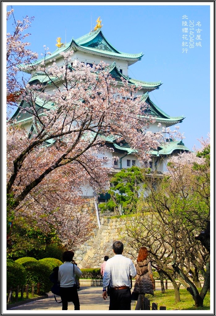 2014北陸櫻花紀行D4056