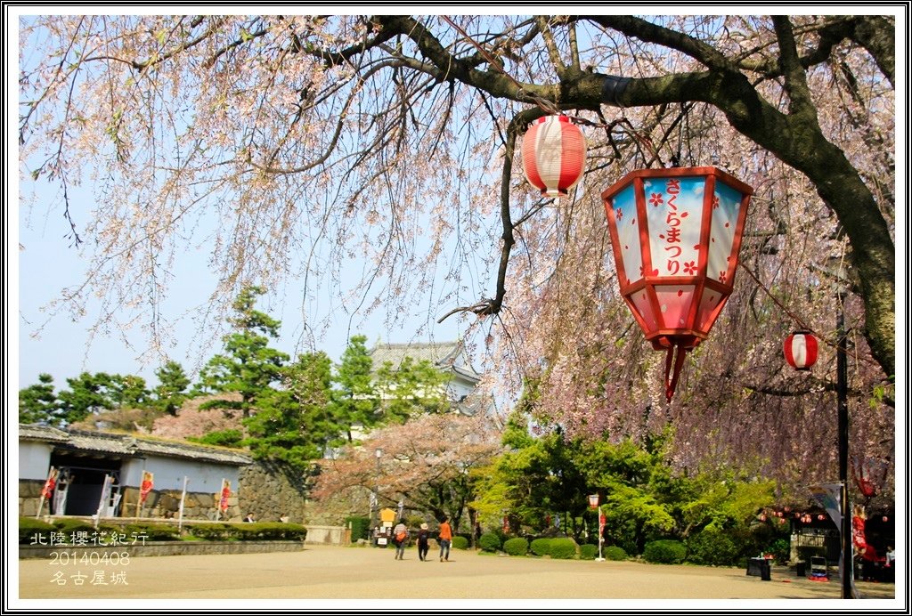 2014北陸櫻花紀行D4071