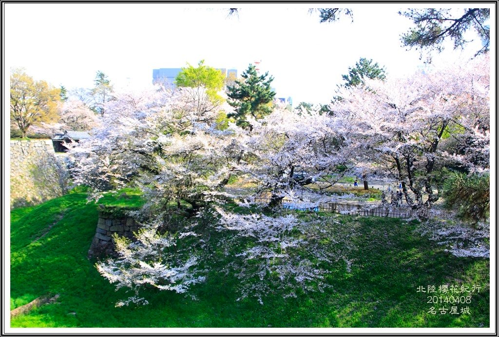 2014北陸櫻花紀行D4076