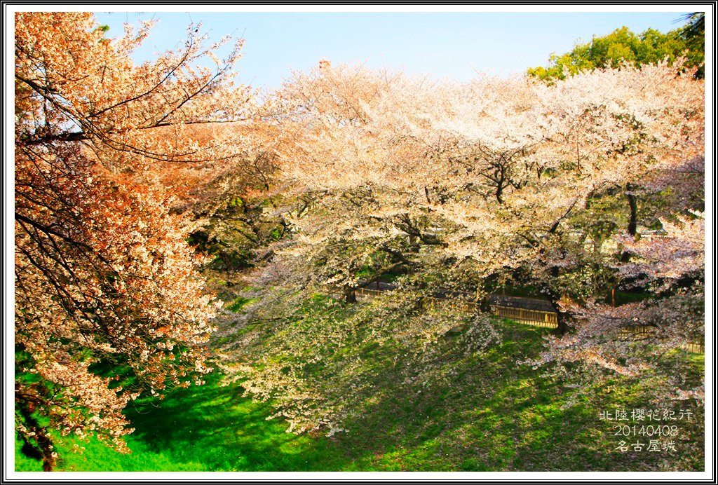 2014北陸櫻花紀行D4084