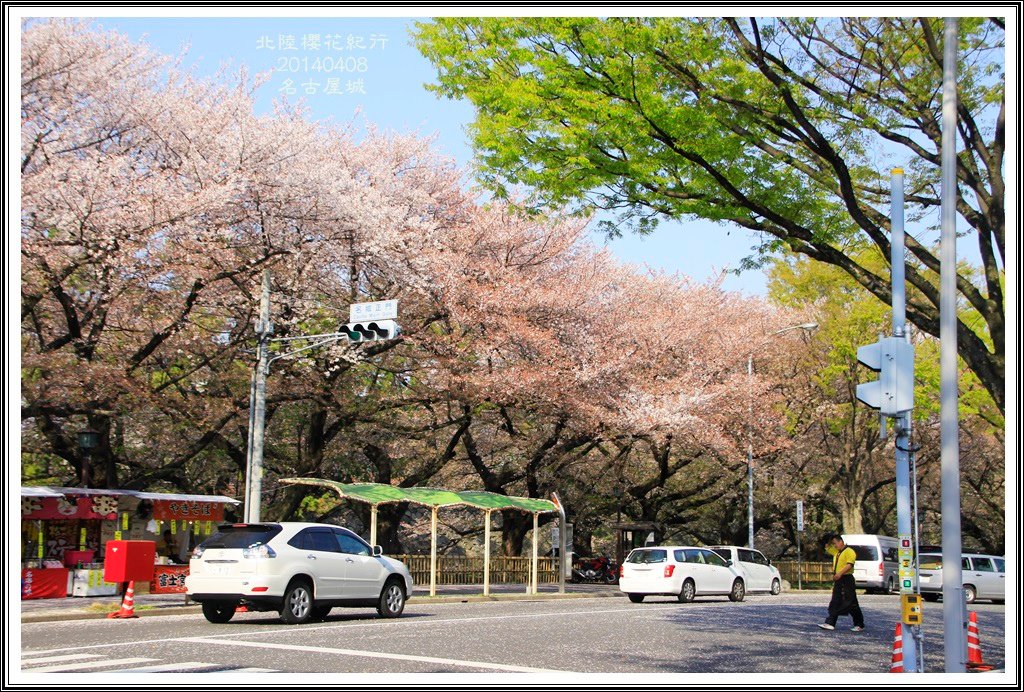 2014北陸櫻花紀行D4089