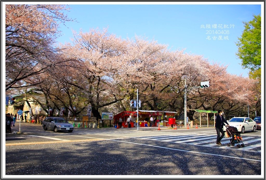 2014北陸櫻花紀行D4090