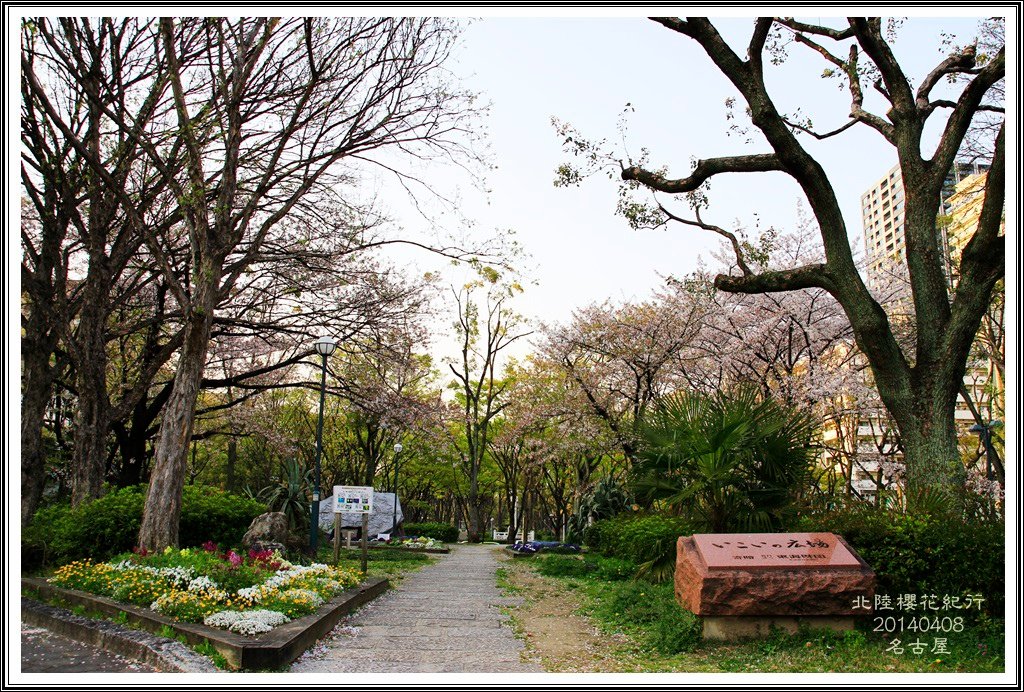 2014北陸櫻花紀行D4097