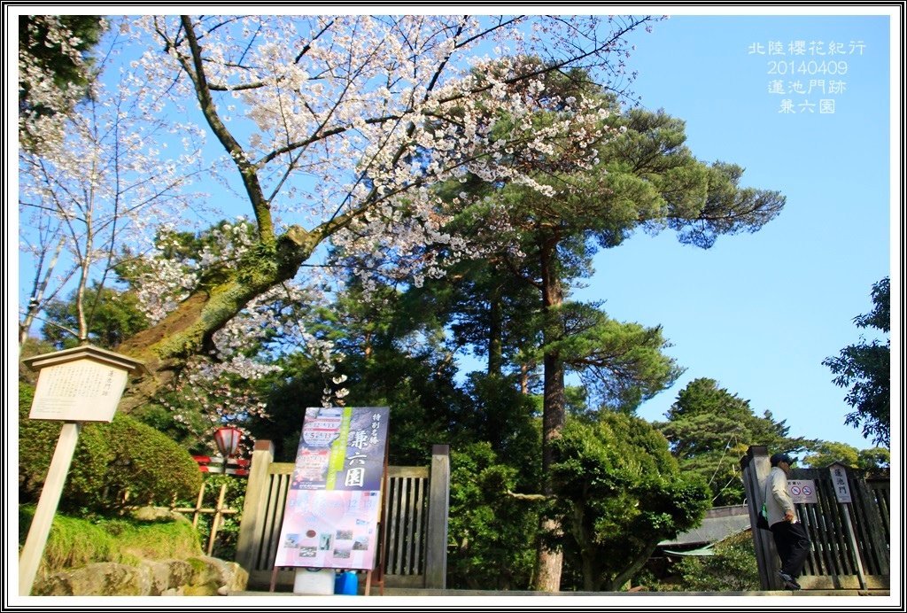 2014北陸櫻花紀行D5045