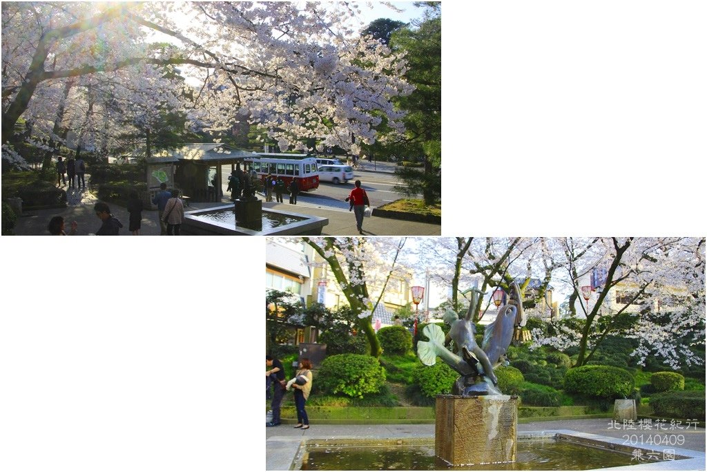 2014北陸櫻花紀行D5058