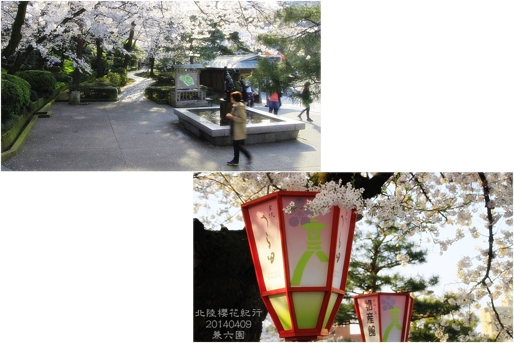 2014北陸櫻花紀行D5061