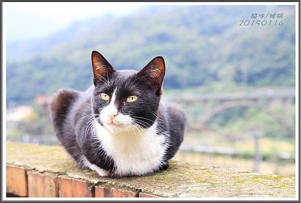 _MG_9097.JPG