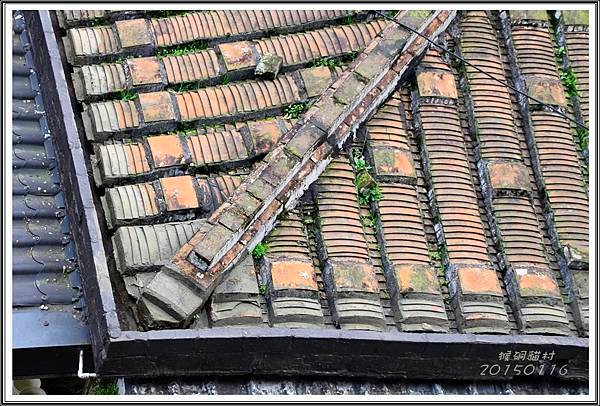 _MG_9266.JPG