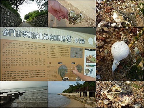 2010暑假金門觀光DAY2 18