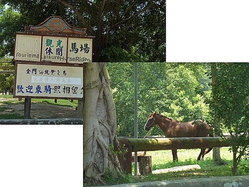 2010暑假金門觀光DAY2 15