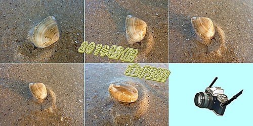 2010暑假金門觀光DAY3 03