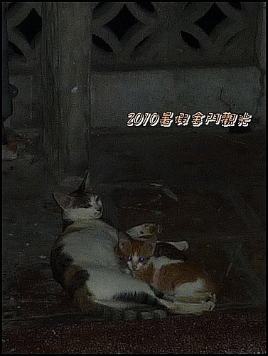 2010暑假金門觀光DAY3 18