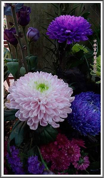 P_20201210_150300.jpg