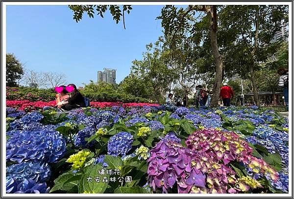 IMG_1807.JPG