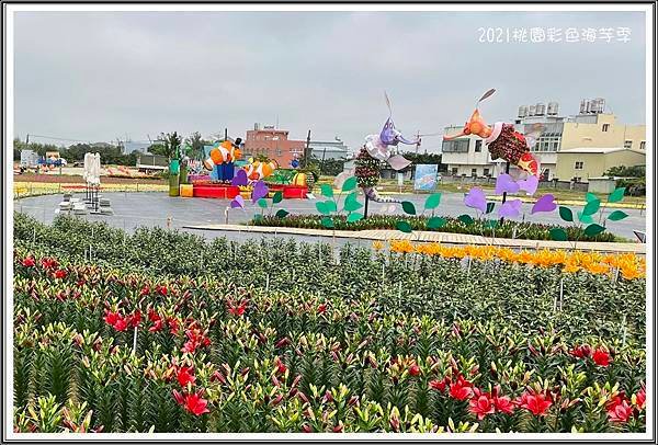 IMG_2608.JPG
