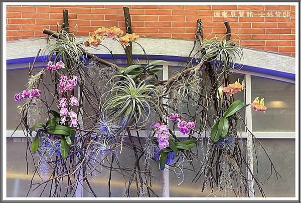 IMG_1565.JPG