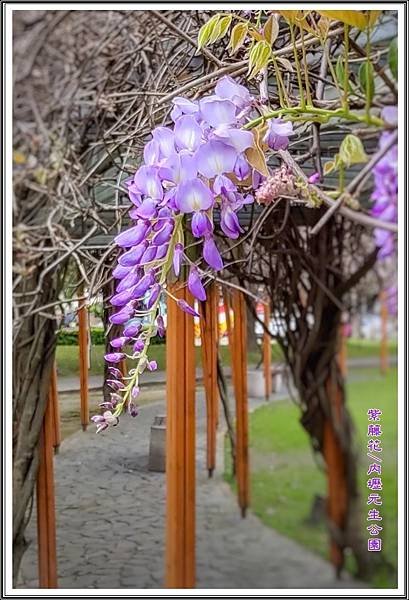 20210312內壢元生公園_210315_3.jpg