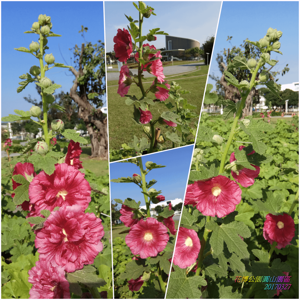 花博公園圓山園區2017032700.png