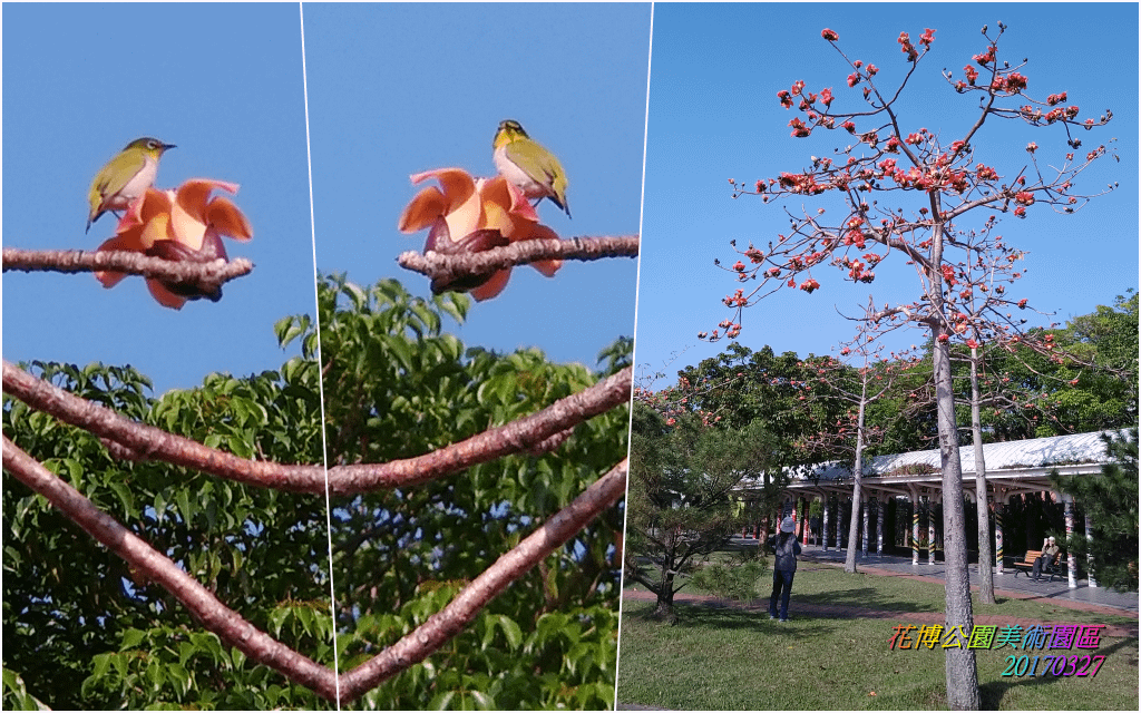 花博公園美術園區2017032701.png