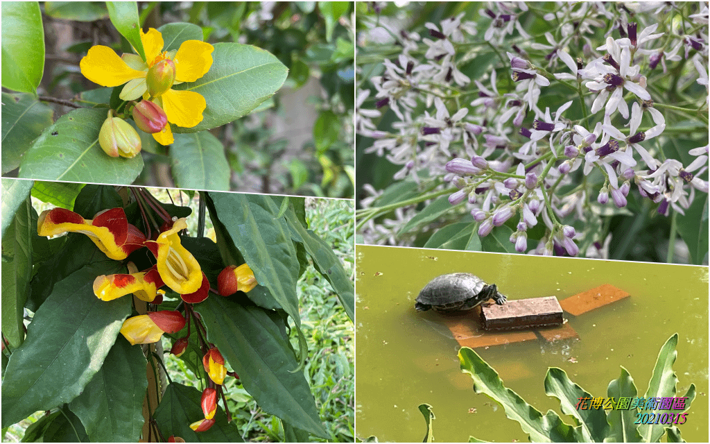 花博公園美術園區2021031500.png