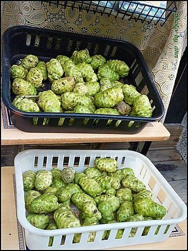 茜草科-檄樹(諾麗果)13.jpg