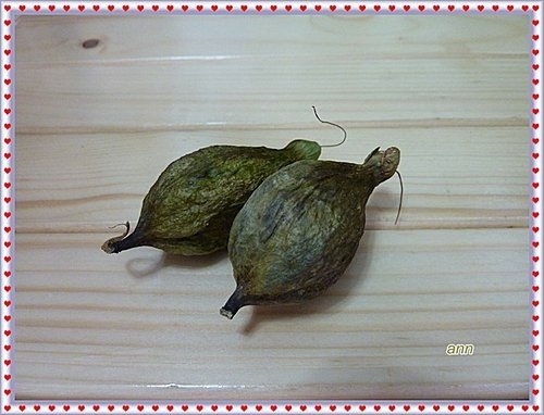 玉蕊科-穗花棋盤腳29.jpg