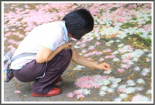 2013穗花棋盤腳34.jpg