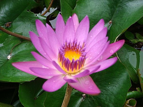 新北投一日遊14.jpg