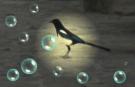 一ㄓ獨秀05.jpg