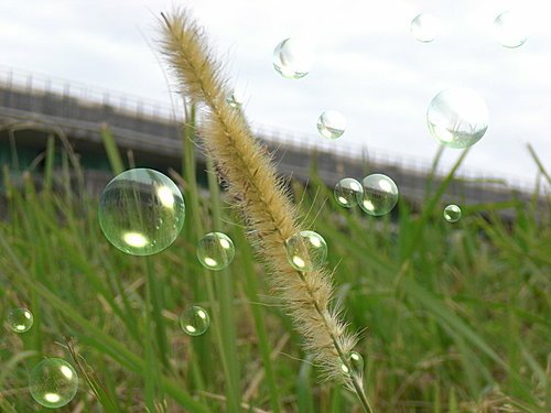 一ㄓ獨秀09.jpg