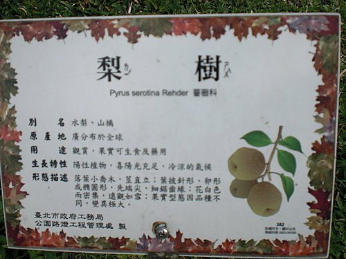 糖葫蘆03.jpg