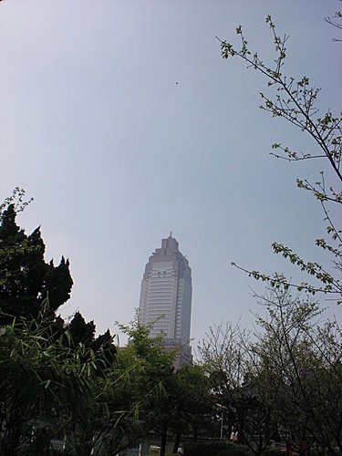 逸仙公園~~都市中寧靜的一隅15.jpg