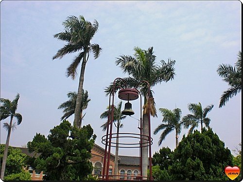 台灣大學巡禮07.jpg