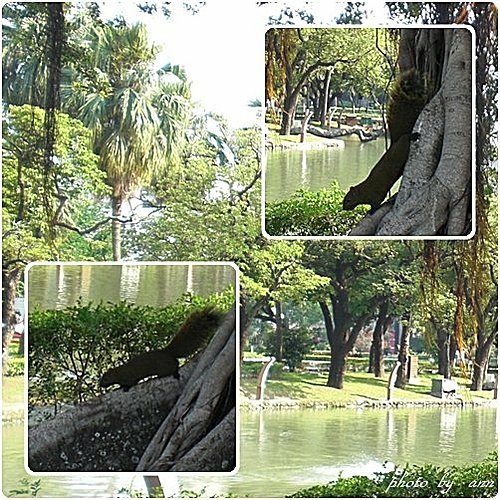 在台中公園的午后12.jpg
