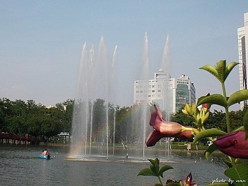 在台中公園的午后16.jpg