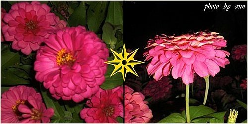 小公園的夜色04.jpg