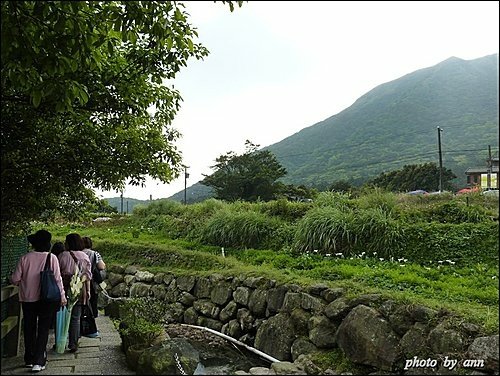 竹子湖半日遊22.jpg