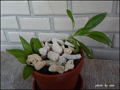 開心一天03.jpg