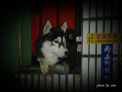 二登象山~看10124.jpg