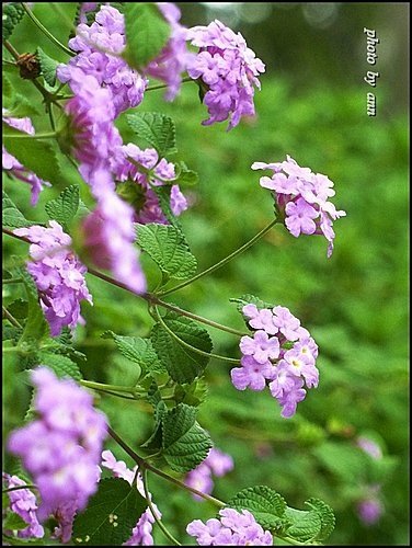 兒童育樂中心隨拍07.jpg