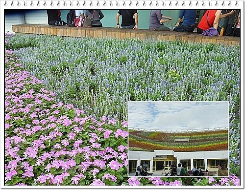 花博試營運側拍06.jpg