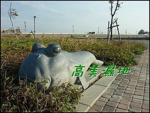 高美濕地01.jpg