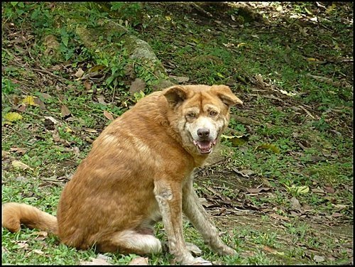 陽明山閒逛(二)05.jpg