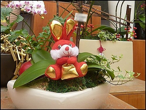 台北花卉村06.jpg