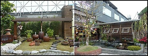 台北花卉村07.jpg