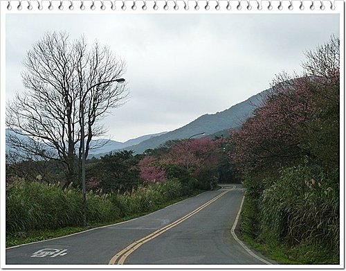 機車逍遙遊14.jpg