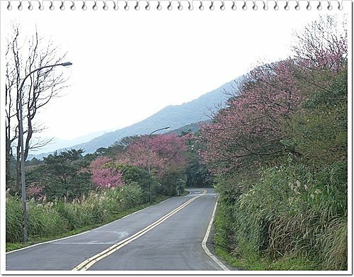 機車逍遙遊15.jpg