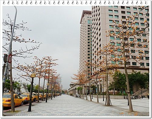 春天ㄟ花蕊~木棉20.jpg